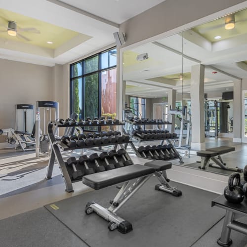 Free weight section with large mirrors in fitness room at Marq at Crabtree in Raleigh, North Carolina