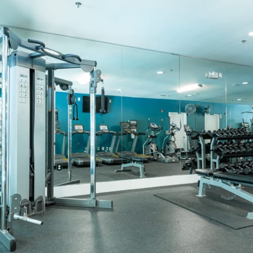 Weight assisted machine and free weights section of fitness room at Marquis at Texas Street in Dallas, Texas