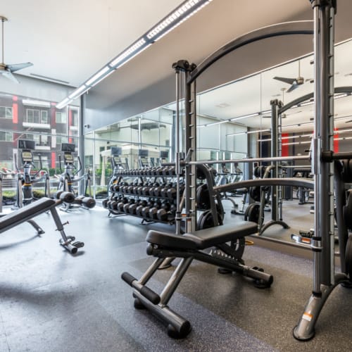 Assisted bench press station with free weights nearby at Marq on Burnet in Austin, Texas