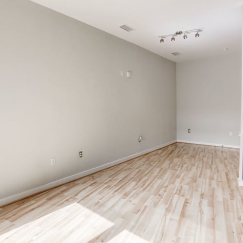 Spacious and well lit bedroom ready to be furnished at 1350 Florida in Washington, District of Columbia