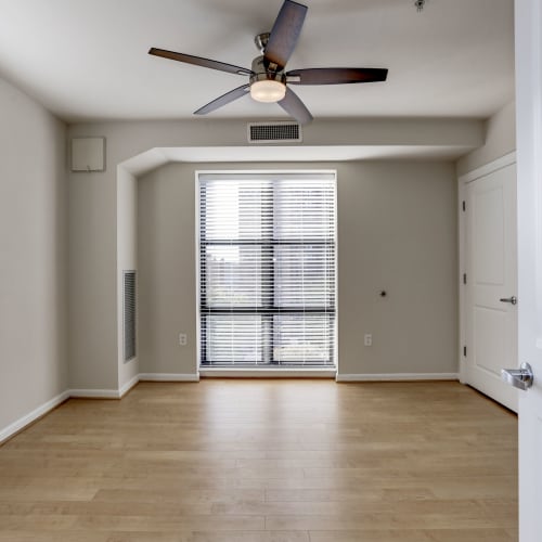 Spacious and well lit living area with a big ceiling fan at 1630 R St NW in Washington, District of Columbia