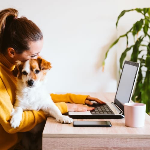 Resident working on her computer while her dog sits on her lap at 700 Constitution in Washington, District of Columbia