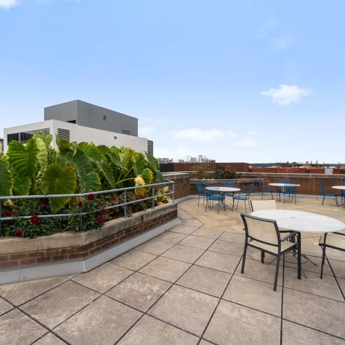 Incredible rooftop lounge where residents can enjoy a great view at Winston House in Washington, District of Columbia