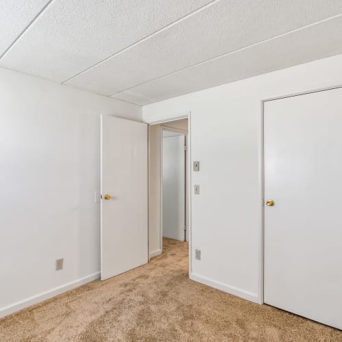 Carpeted bedroom with a walk-in closet at Brixworth Apartments in Cincinnati, Ohio