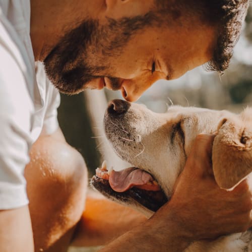 a man sharing a sweet moment with his dog at Stone Park in Lemoore, California