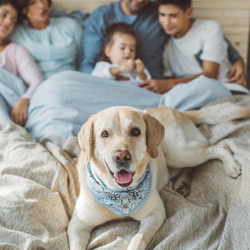 a family in bed with their dog at North Severn Village in Annapolis, Maryland