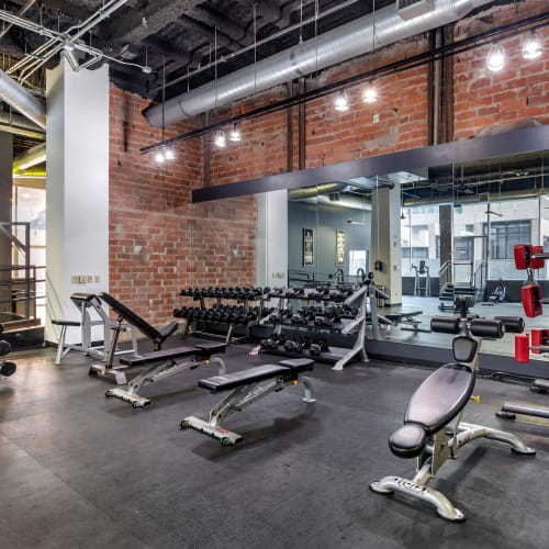 Mosaic Dallas offers apartments with an expansive gym in Dallas, Texas