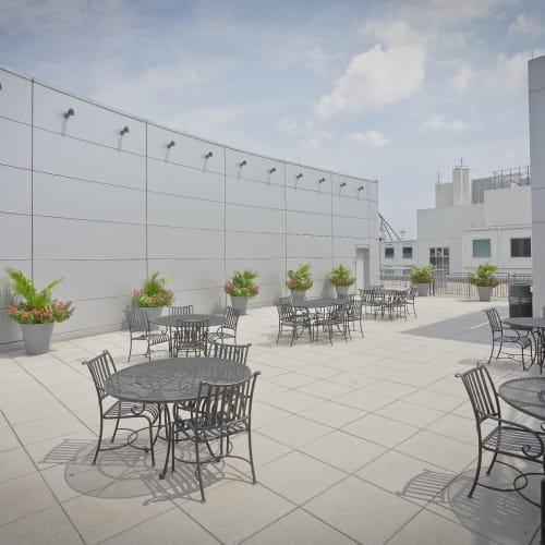 Link to 1725 Rooftop Terrace virtual tours at Borger Management Inc. in Washington, District of Columbia
