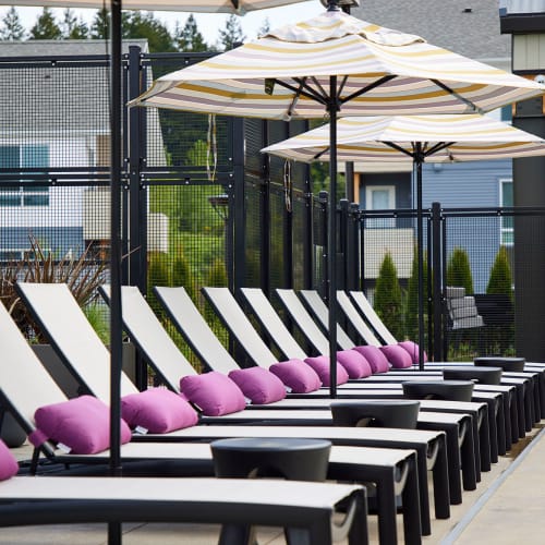 Lounge Area Poolside at Ambrose in Bremerton, Washington