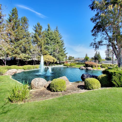 Beautiful pond view at Hawthorn Village Apartments in Napa, California