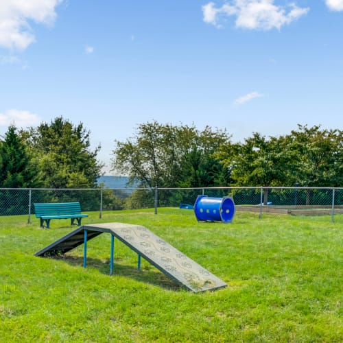 Onsite dog park at Emerald Pointe Townhomes in Harrisburg, Pennsylvania
