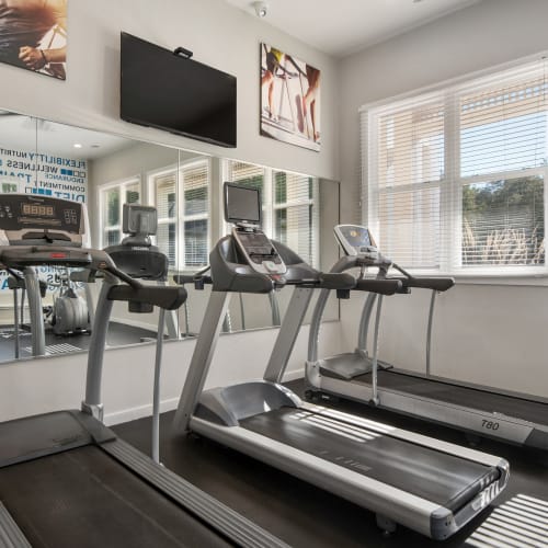 Cardio machines and weights in the high-tech fitness center at Chase Lea Apartment Homes in Owings Mills, Maryland