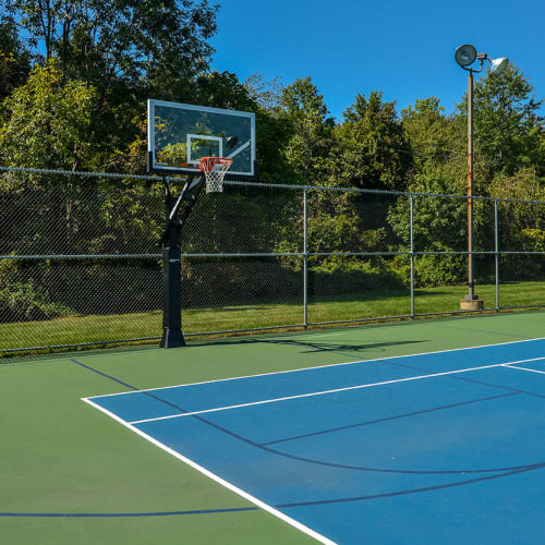 Basketball court at Stonegate Apartments, Elkton, Maryland