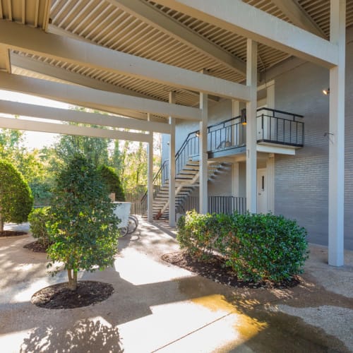 Nice landscaping at Belmont Place Apartments in Nashville, Tennessee