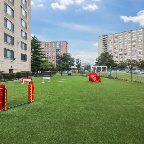 Dog park at Stratford at Southern Towers in Alexandria, Virginia