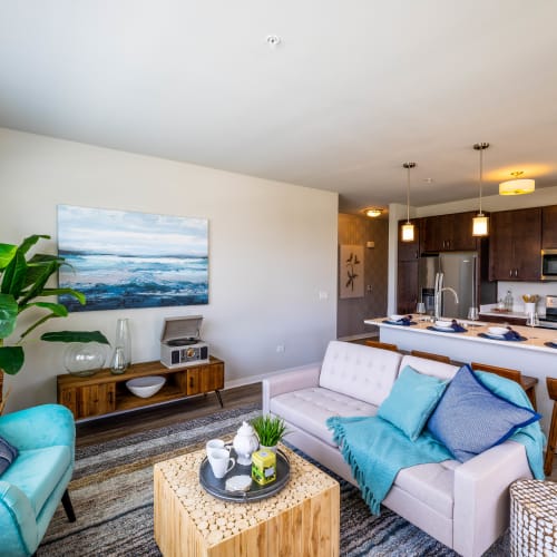 Living Room at The Bluffs in Romeoville, Illinois
