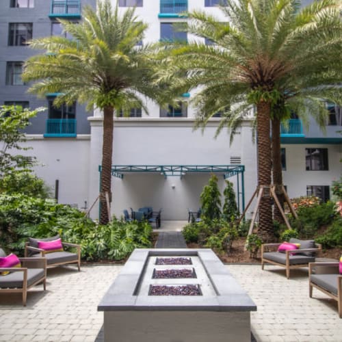 Courtyard with seating and palm trees at Motif in Fort Lauderdale, Florida