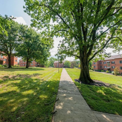 Landscaped pathway at Cedar Ridge Apartments in Park Hills, Kentucky