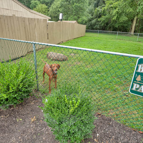 Pet park at Hunters Crossing, Newark, Delaware