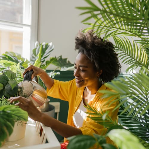 Resident watering plant in apartment at Franklin Commons, Bensalem, Pennsylvania