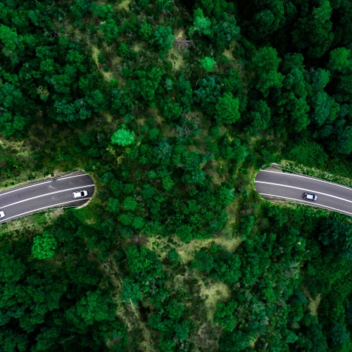 Road with greenery at Solaire 1150 Ripley in Silver Spring, Maryland