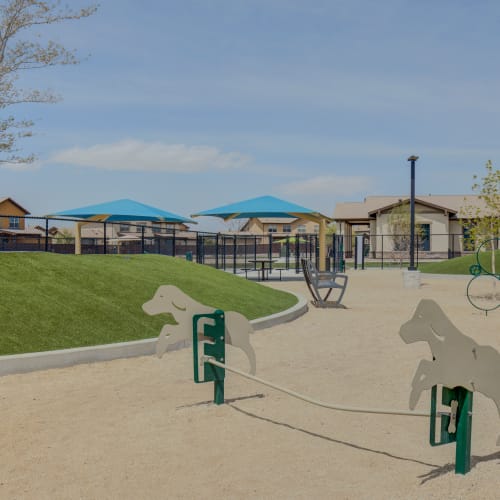 Dog Park at Mountain View in Fallon, Nevada