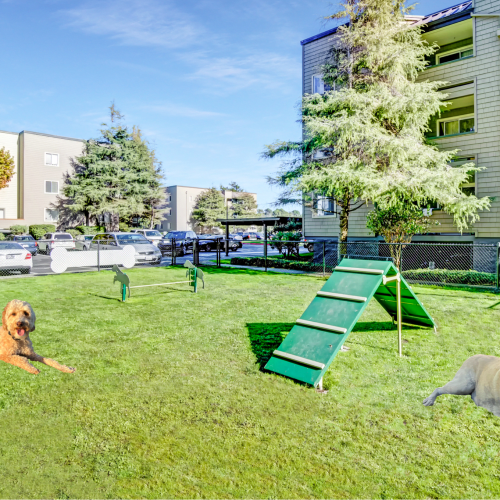 The onsite dog park at Serramonte Ridge Apartment Homes in Daly City, California