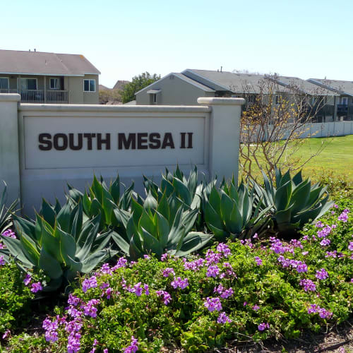 ocean at South Mesa II in Oceanside, California