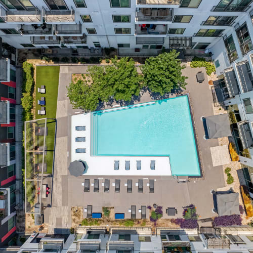 Resort style pool with in-water lounge chairs and tables at Marq on Burnet in Austin, Texas