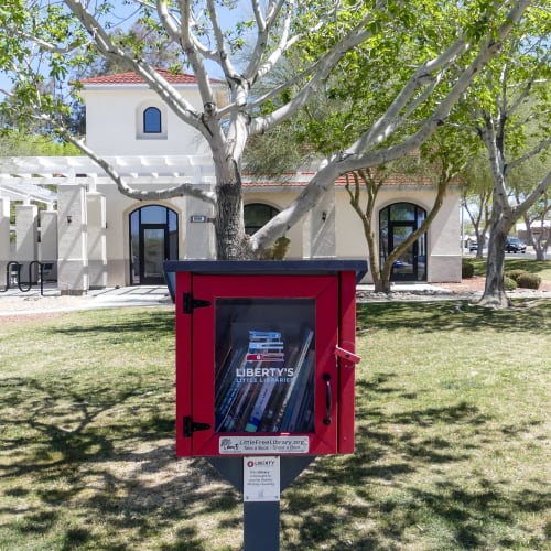 Little LIbrary