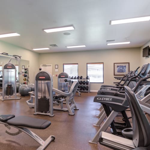 fitness center at Stuart Mesa in Oceanside, California