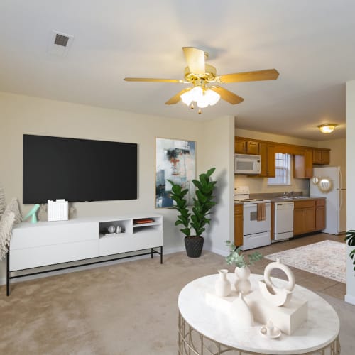 Living room with plush carpets at Home Place Apartments in East Ridge, Tennessee