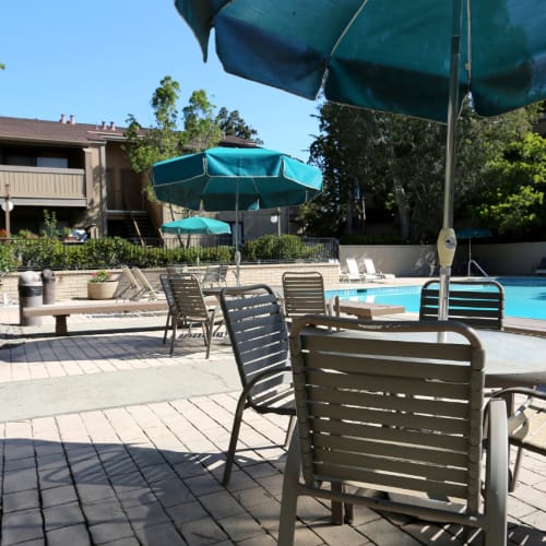 View our photos at Point Alameda in Alameda, California