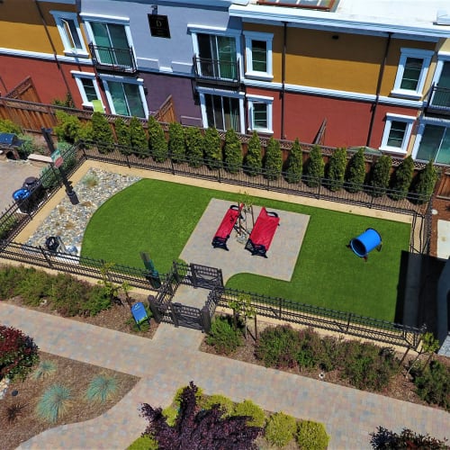 Aerial view of the courtyard dog park at Ramblewood Apartments in Fremont, California