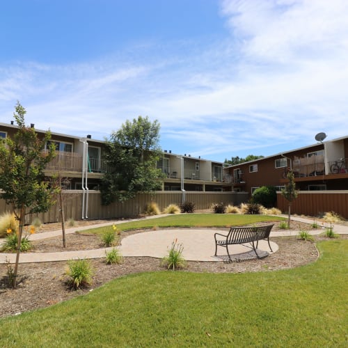 Manicured courtyard at Mountain View Apartments in Concord, California