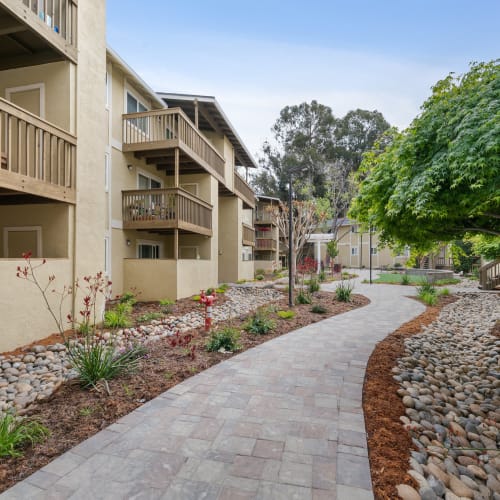 Walking path in the meticulously landscaped courtyard at Vista Creek Apartments in Castro Valley, California