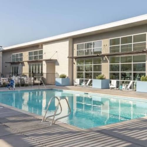 Swimming pool at Hub Apartments in Folsom, California