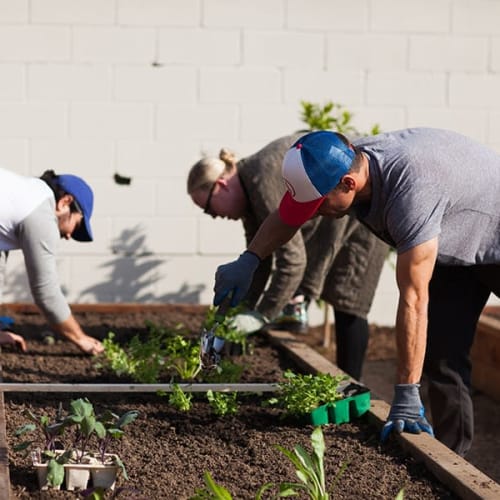 Residents plant their garden at The Orchard, Santa Ana, California