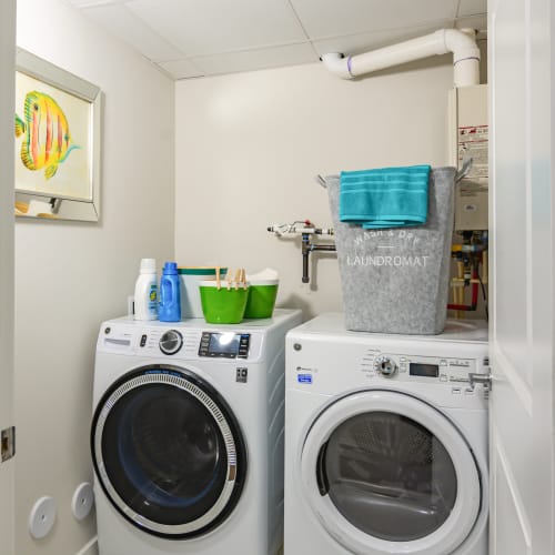 Full-size in-home washer and dryer at Glenmoor Oaks in Moseley, Virginia
