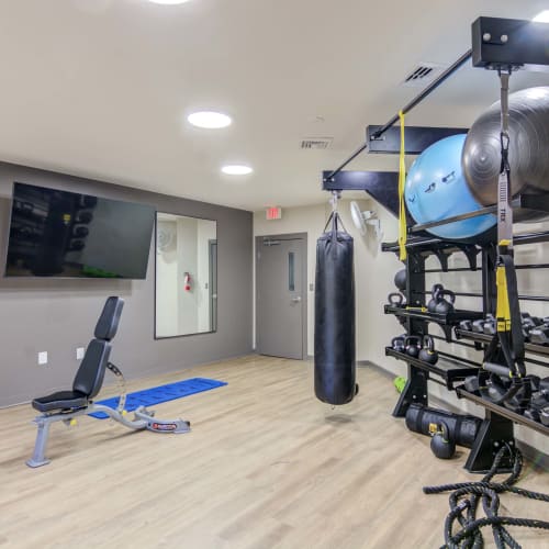 Fitness center with modern equipment at The Point at Beaufont in Richmond, Virginia