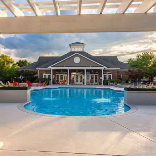 Pool at The Belvedere in North Chesterfield, Virginia