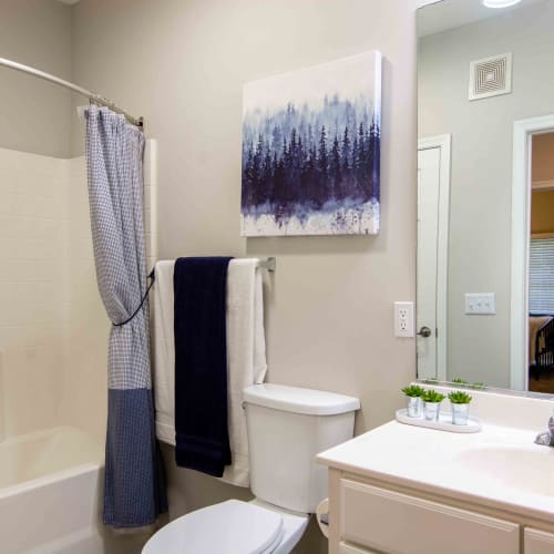 Bathroom with nice details at River Forest in Chester, Virginia