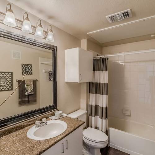 Apartment bathroom with a bath tub and polished sanitary ware at Wildwood Creek in Grapevine,Texas