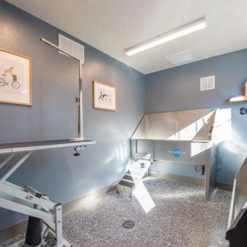 Pet wash at GrandView @ Flatirons in Louisville, Colorado
