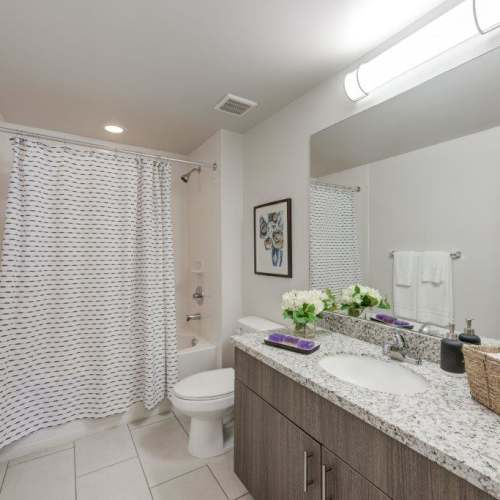 Apartment bathroom at The Olivia in Homestead, Florida