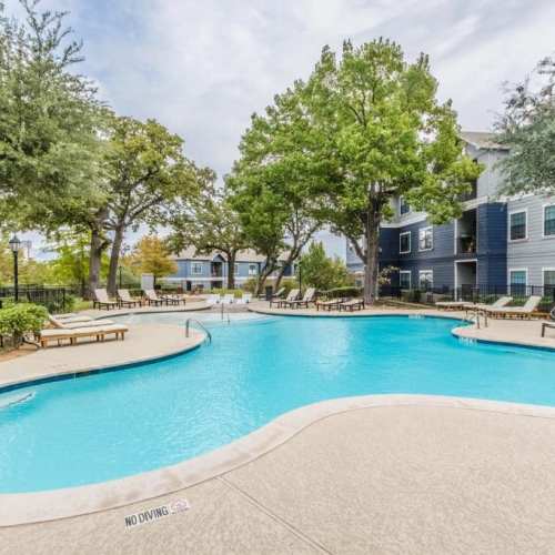 Swimming pool at Urban House in Dallas, Texas