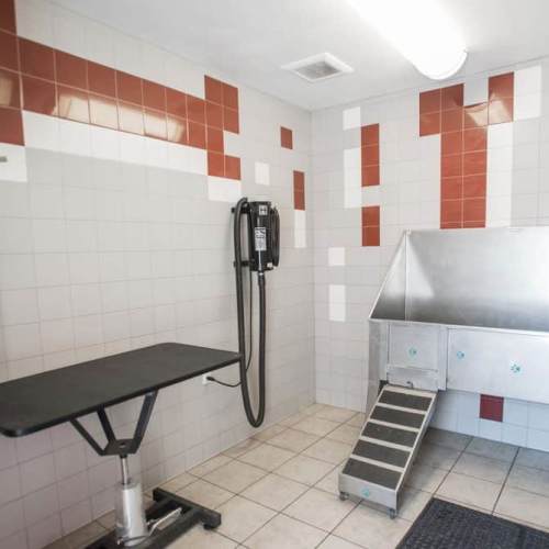 Pet grooming area with grooming table, stainless-steel tub at Elevation @ County Line Station in Englewood, Colorado
