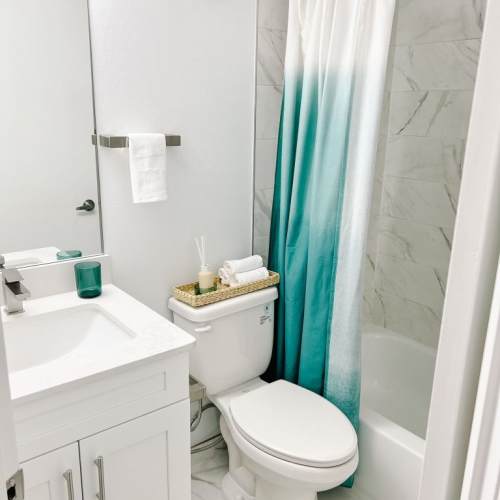 Bright bathroom with shower and tub at Emerald Grove in Orlando, Florida, 