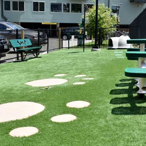 Dog park at LoHi Gold in Denver, Colorado