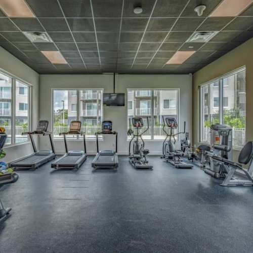 Fitness center with gym equipment at Palm Beach Preserve in West Palm Beach, Florida 